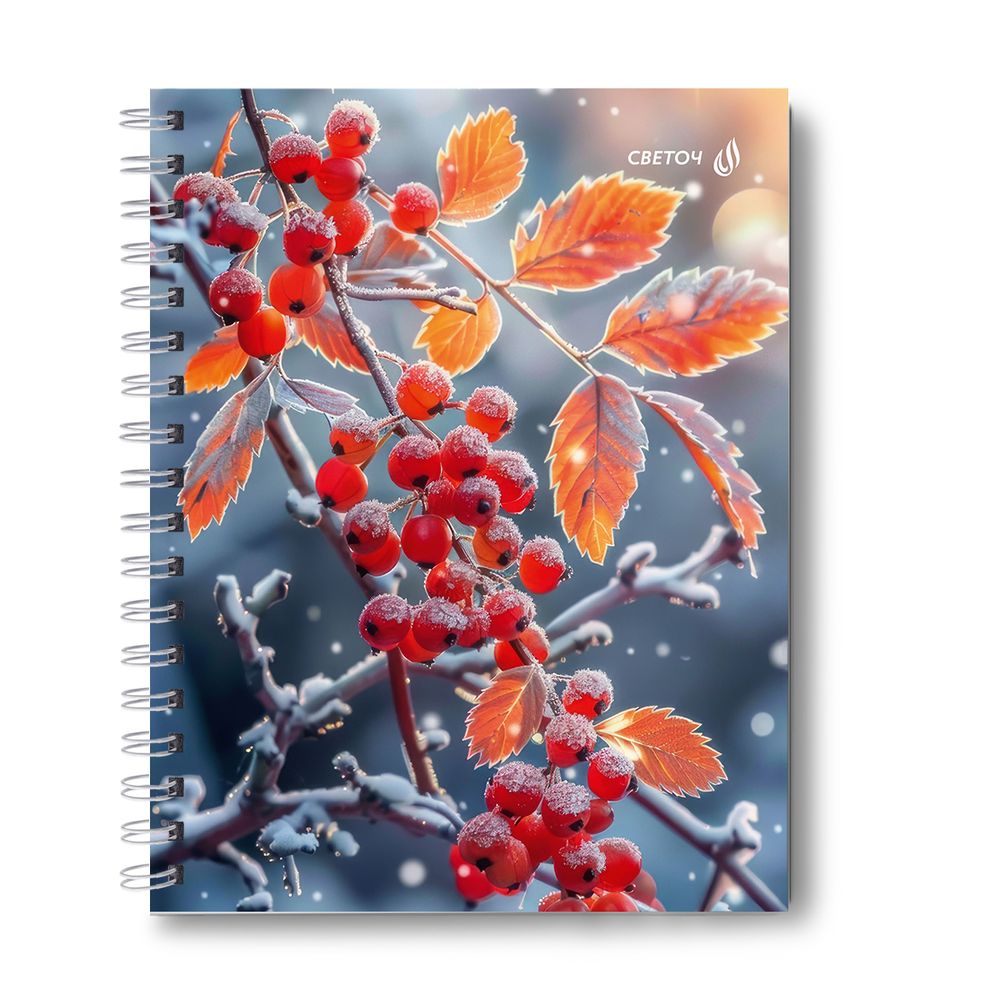 Тетрадь общая с твердой обложкой, матовая ламинация + выборочный лак A5 96 л. на гребне 65 г/м², белизна 100% 4 шт клетка, 01555 Зимняя ягода, Светоч Т211