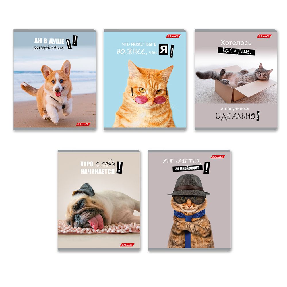 Тетрадь ученическая общая, A5+ 48 л. на скобе 65 г/м², белизна 100%, 10 шт, клетка в термоусадочной пленке, 000752 Смешные и шерстяные, Светоч 48ТЕТк-001