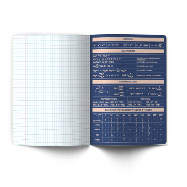 Тетрадь со справочным материалом Лёгким почерком, софт-тач ламинация, A5 48 л. на скобе 65 г/м², белизна 100% 10 шт, клетка, 01835 Лёгким почерком Алгебра, Светоч Т284