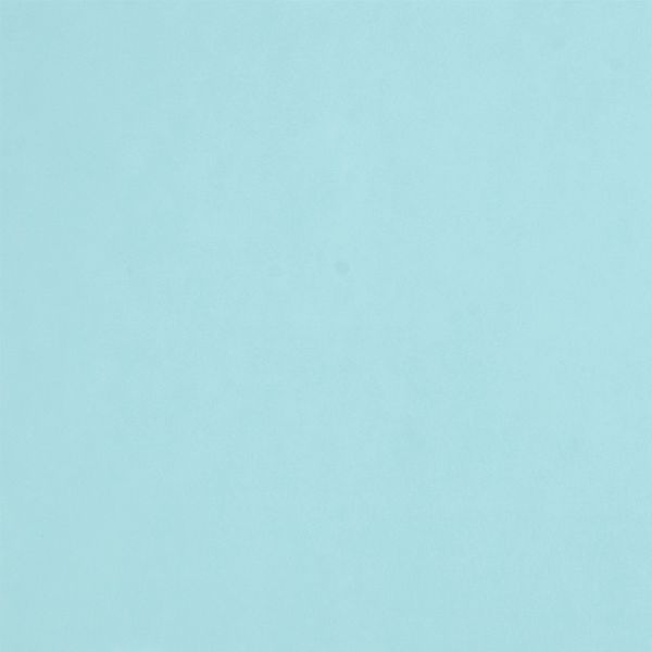 Фетр рулонный жесткий 0.5 мм, 157 см, рул. 50 метров, (FKA05), S-13 св.голубой, Gamma