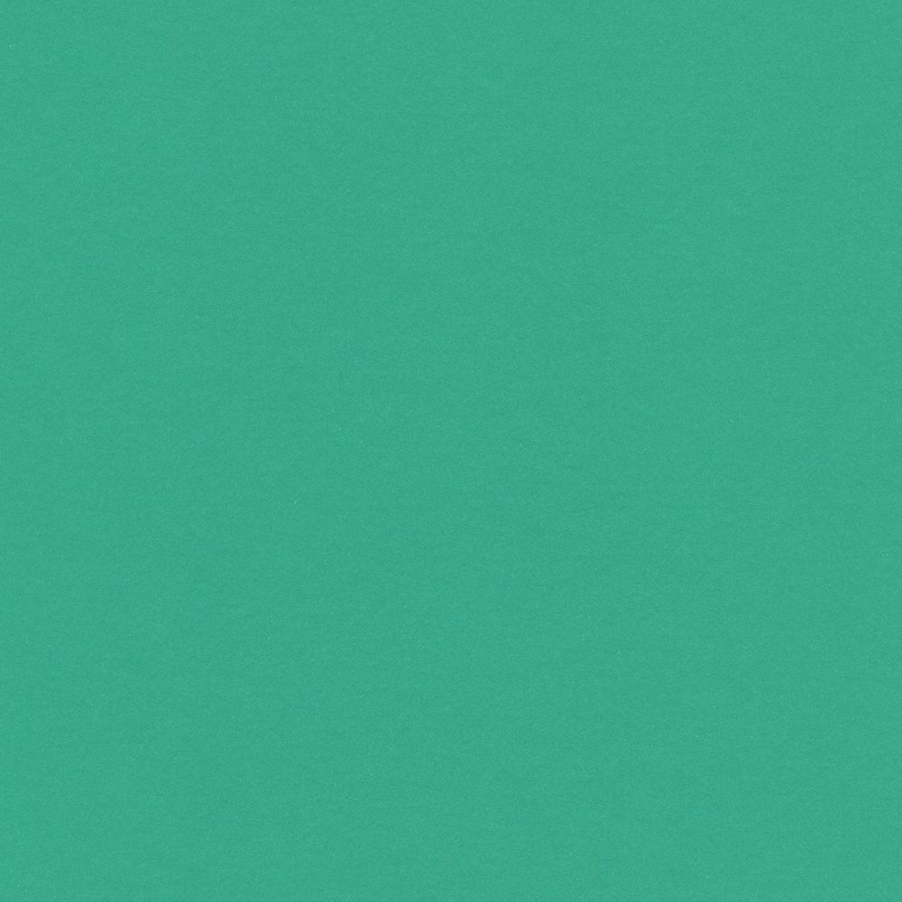 Бумага цветная 120 г/м², A4 21х29.7 см, 50 шт, 24 светло-зеленый/light green, Vista-Artista