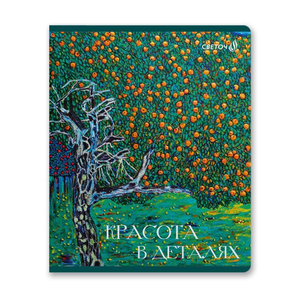 Тетрадь ученическая общая, софт-тач ламинация + выборочный лак, цветной запечатанный форзац, A5+ 48 л. на скобе 65 г/м², белизна 100 %, 10 шт, клетка, 00994 Изумрудные мысли, Светоч 48Т14