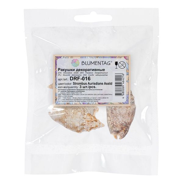 Ракушки декоративные, 3 шт, 6.3 см, Strombus Aurisdiane Asstd, Zlatka DRF-016
