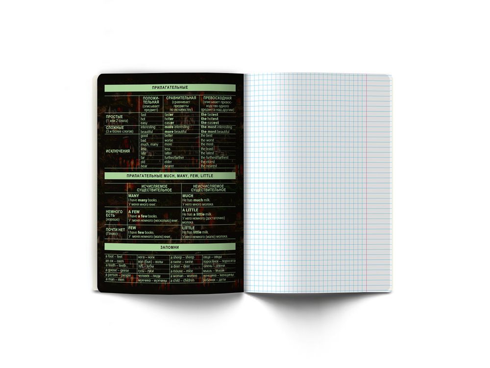 Тетрадь со справочным материалом Эволюция, глянцевая ламинация, A5+ 48 л. на скобе 65 г/м², белизна 100%, 10 шт, клетка, 00876 Английский язык, Светоч 48Т5