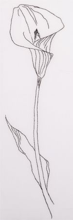 Набор для вышивания нитками Panna, Живая картина, Калла, 14х43 см