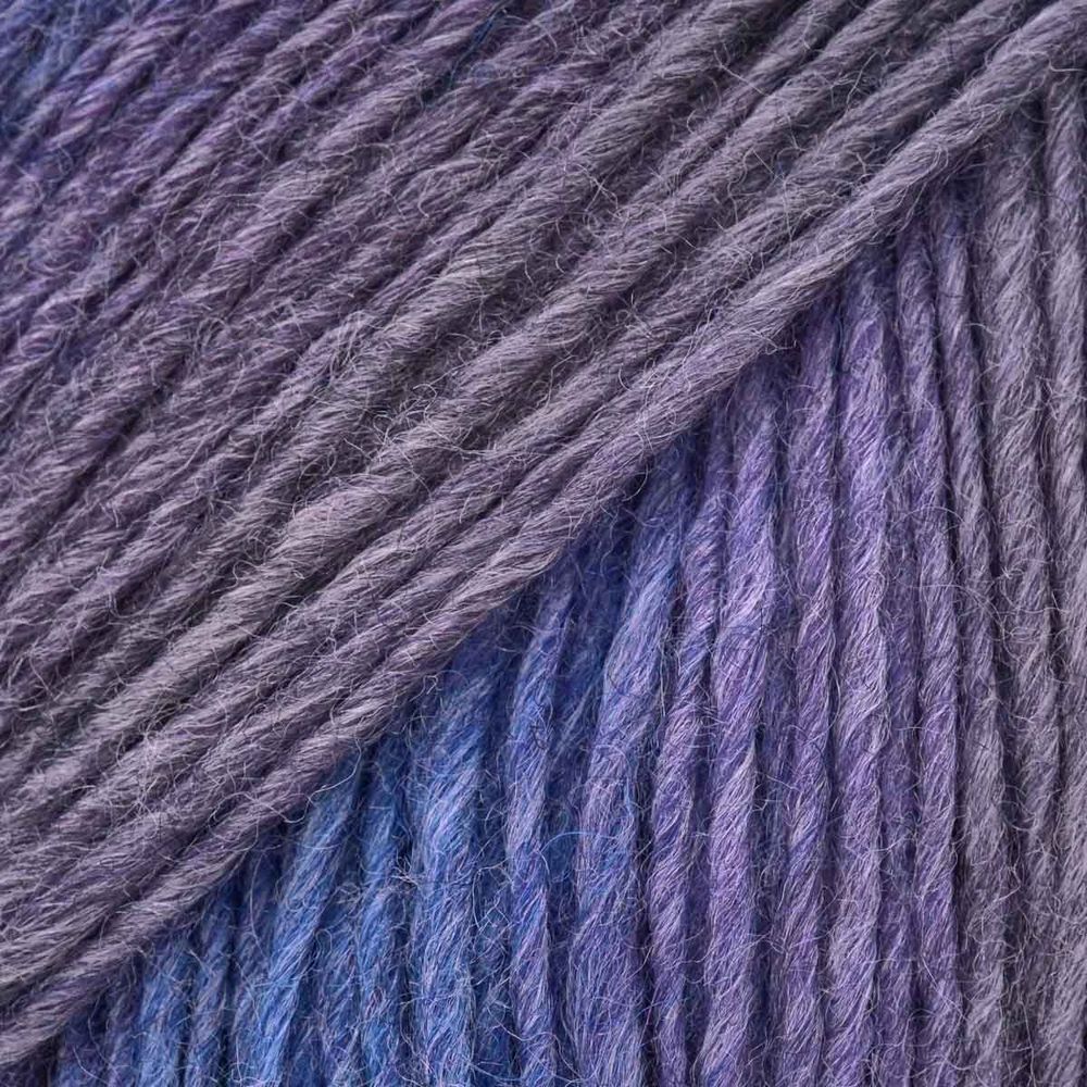 Пряжа Astra Premium (Астра Премиум) Панда Колор / уп.3 мот. по 100 г, 240 м, 05 секционный