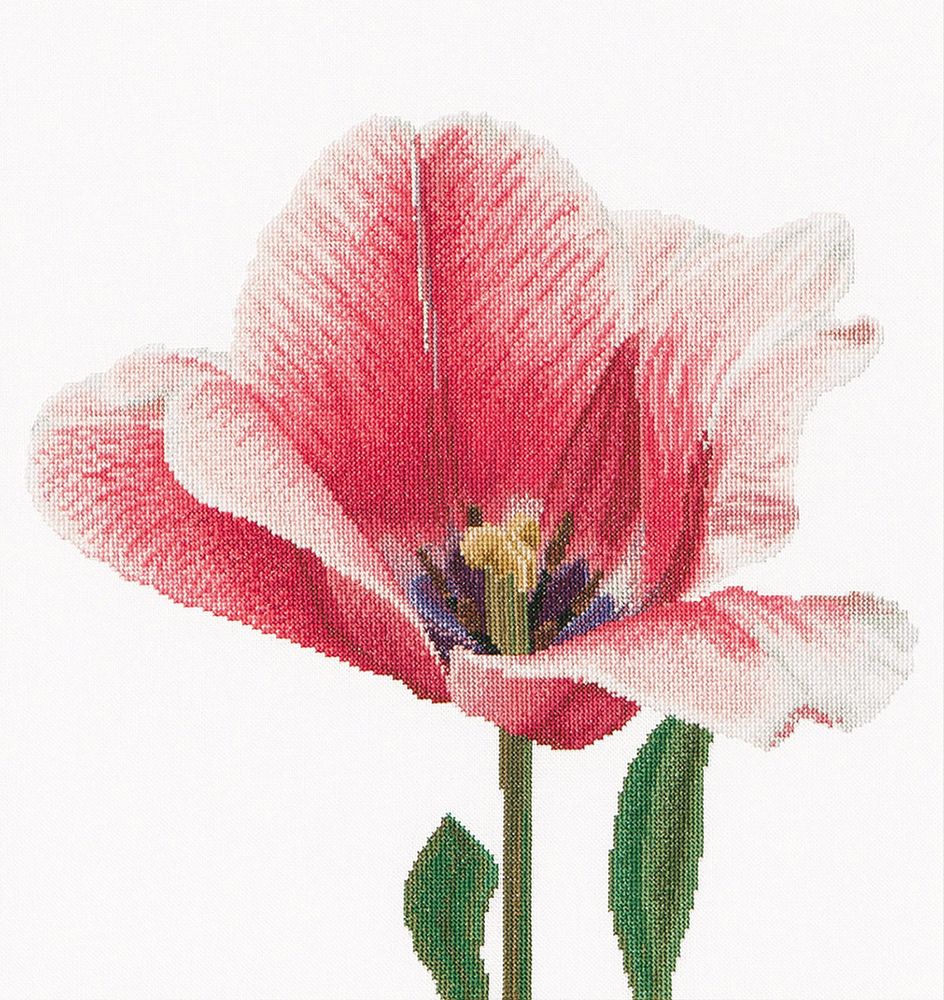 Thea Gouverneur, Розовый тюльпан, канва лён 36 ct, 34х36 см
