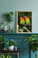 Пазл 500 элементов, Попугаи-неразлучники, PZL-500/39, Фрея