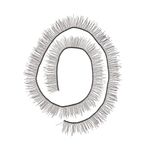 Ресницы для кукол и игрушек 20 см, реснички 5 мм, уп.20 шт, EYL-1, черный, HobbyBe EYL- 1