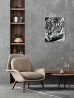 Алмазная (кристальная) мозаика Фрея, на подрамнике Черно-белый тигр, 40х50 см