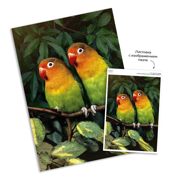 Пазл 500 элементов, Попугаи-неразлучники, PZL-500/39, Фрея