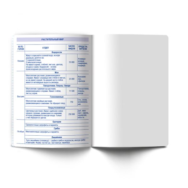 Тетрадь со справ.материал. Яркость по расписанию с запечат. пластик.обл. 320мкм, A5 48 л. на скобе 65 г/м², белизна 100% 10 шт, клетка, 01861 Яркость по расписанию Биология, Светоч Т288