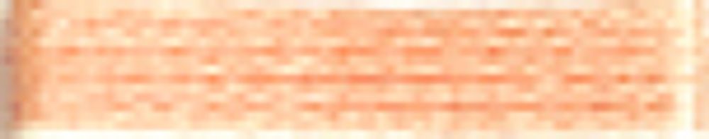 Мулине Madeira, 10 мотков по 10 метров, 100% хлопок, цв. 2313, [017]