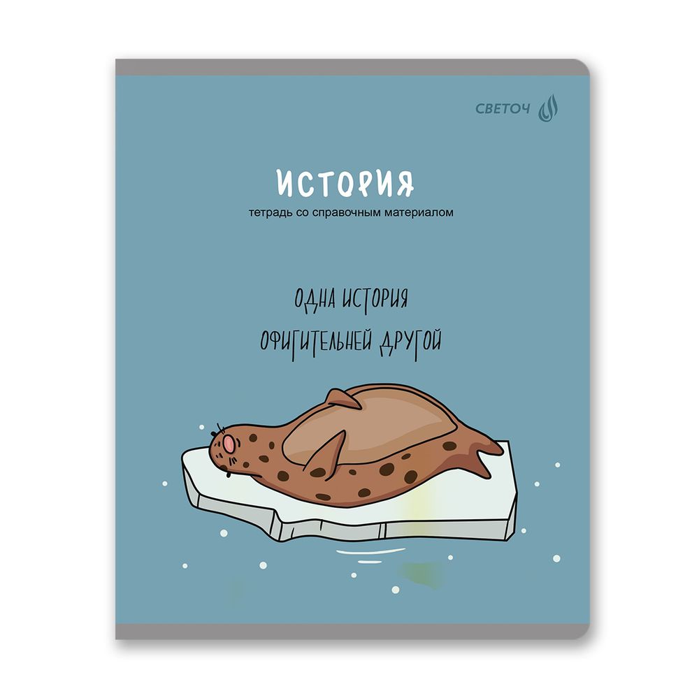 Тетрадь со справочным материалом Большая перемена, выбор.лак, A5 48 л. на скобе 65 г/м², белизна 100% 10 шт клетка, 01816 Большая перемена История, Светоч Т280