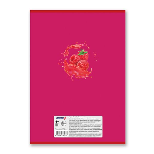 Тетрадь ученическая общая, твин лак, A4 96 л. на скобе 65 г/м², белизна 100%, 6 шт, клетка, 000468 Живи на яркой стороне, Светоч 96ТСК4_8_2_1