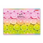 Альбом для рисования 100 г/м², A4 29х20.5 см, 40 л. на скобе, 5 шт, 000229 Пальчики оближешь, Светоч 40АЛСК4_1_3_9