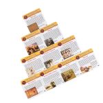 Игра настольная Эврикус Картавентура Одиссея: Тайна фараонов BG-11133