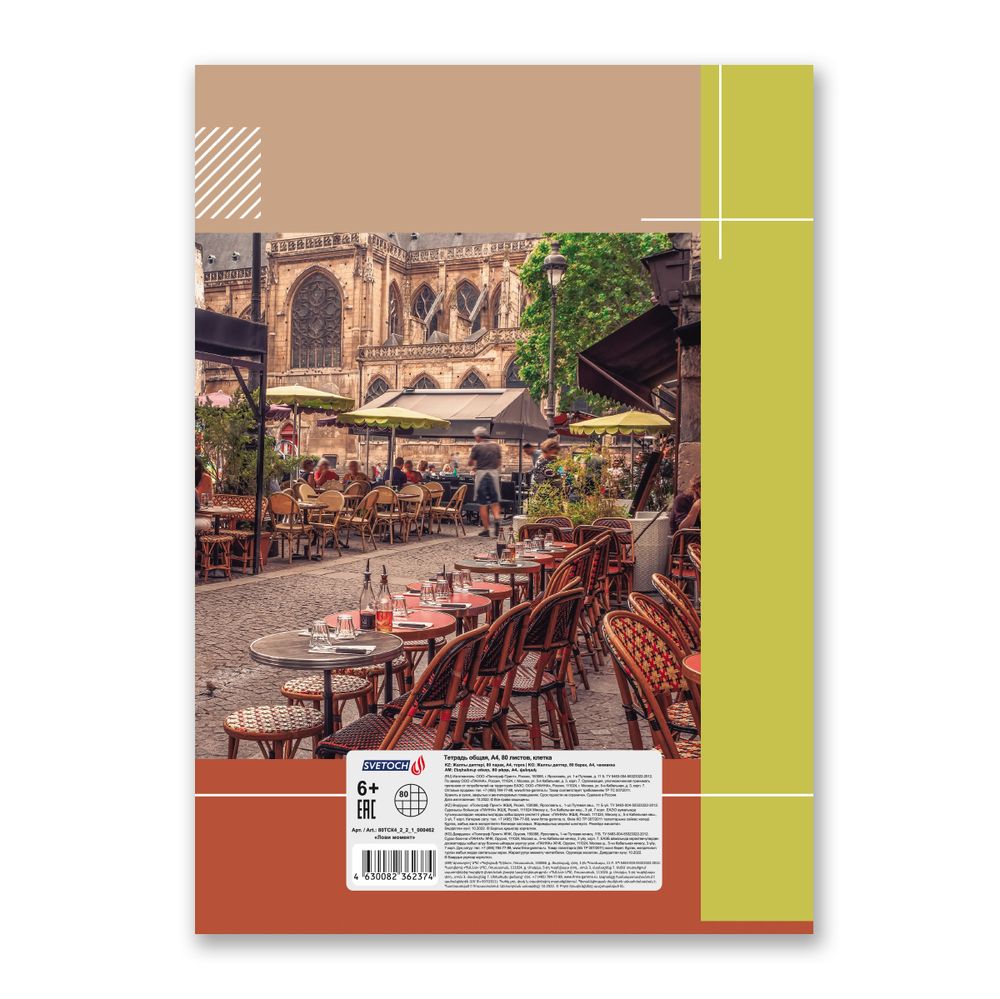 Тетрадь ученическая общая, матовая ламинация, A4 80 л. на скобе 65 г/м², белизна 100%, 6 шт, клетка, 000462 Лови момент, Светоч 80ТСК4_2_2_1