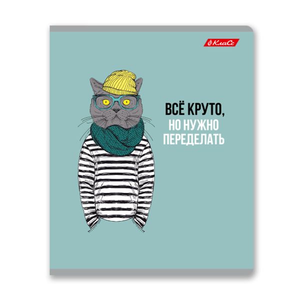 Тетрадь ученическая общая, A5+ 48 л. на скобе 65 г/м², белизна 100%, 10 шт, линия в термоусадочной пленке, 000764 Модный приговор, Светоч 48ТЕТл-001