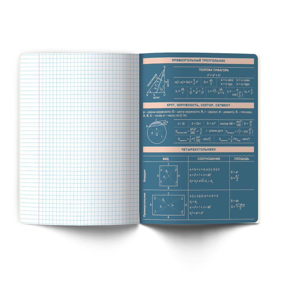 Тетрадь со справочным материалом Лёгким почерком, софт-тач ламинация, A5 48 л. на скобе 65 г/м², белизна 100% 10 шт, клетка, 01839 Лёгким почерком Геометрия, Светоч Т284