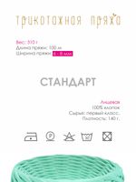 Пряжа трикотажная 1х300г, 100м, шир. 6-8 мм, 3081 мятный /TOS/