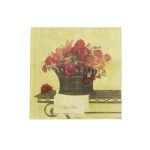 Салфетки 33х33см, 3-х слойные AY, 20 шт/упак (AY-2001)