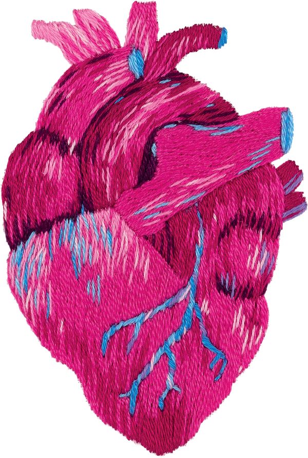 Набор для вышивания нитками Panna, Живая картина, Анатомическое сердце, 5х7,5 см