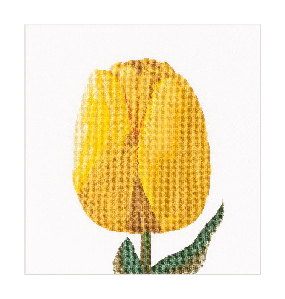 Thea Gouverneur, Желтый тюльпан гибрид, 34х36 см