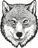 Термоаппликация Gamma Термотрансфер M №05, 1 шт, M-523 Волк 10х12.5 см