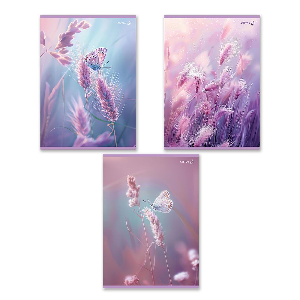 Тетрадь ученическая общая, A4 80 л. на скобе 65 г/м², белизна 100% 6 шт клетка, 01758 Встречая рассвет, Светоч Т154