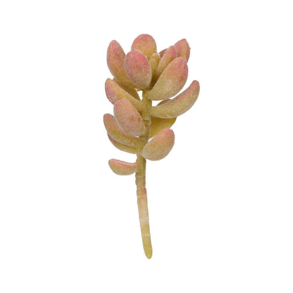 Суккуленты декоративные, 1 шт, 01, Blumentag ASU-15