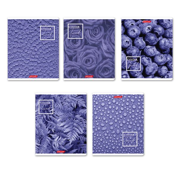 Тетрадь ученическая общая A5+ 48 л. на скобе, белизна 100%, 10 шт, клетка, 000308 Черничный рай, Светоч 48ТСК5_1_3_1