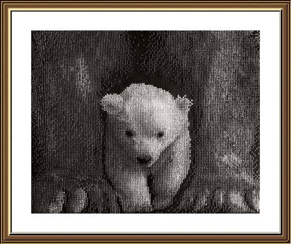 Набор для вышивания нитками Нова Слобода, Сам ты белая ворона 20.8х26.6 см