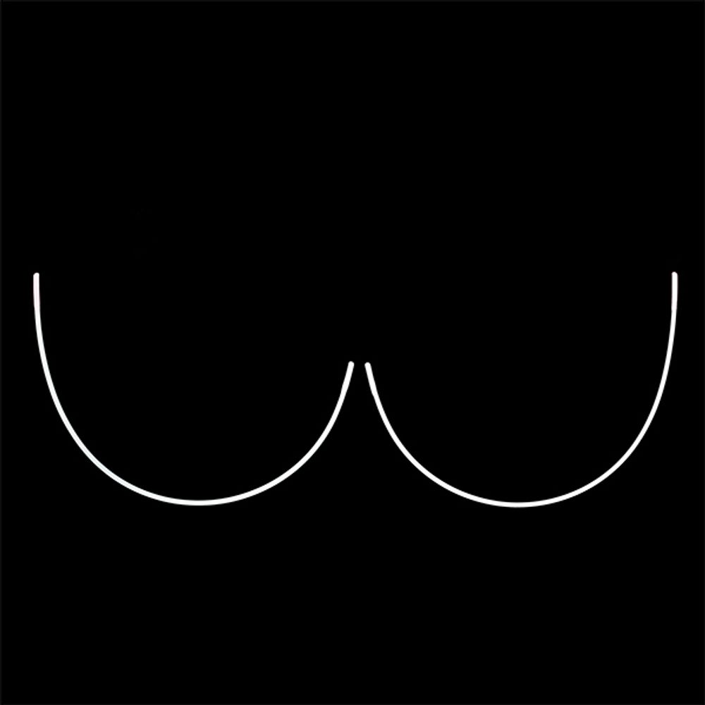 Косточки для бюстгальтера (каркасы) металл 115х186 мм, 100 шт