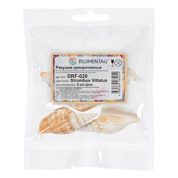 Ракушки декоративные, 5 шт, 7.6 см, Strombus Vittatus, Zlatka DRF-020