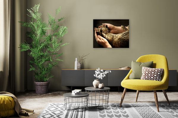 Картина по номерам Фрея PCF-38, Счастье на ладошках, холст с подрамником, 50х40 см