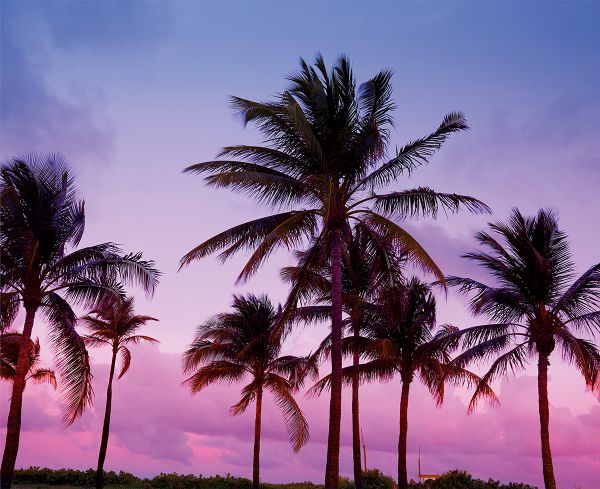 Картина по номерам Фрея PCF-15, Южный вечер, холст с подрамником, 50х40 см