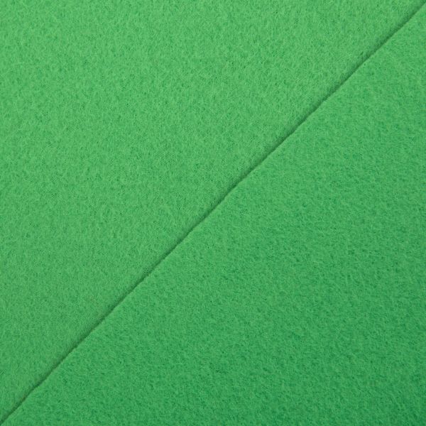 Флис 2-сторонний 160 см / 10 метров, зеленый/green, Gamma FG-005