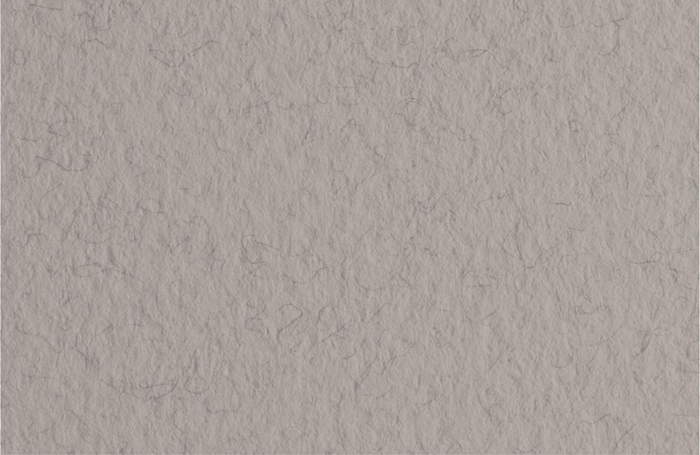 Бумага для пастели 160 г/м², 70х100 см, 10 листов, China/Серый теплый, Fabriano Бумага для пастели 160 г/м², 70х100 см, 10 листов, China/Серый теплый, Fabriano