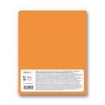 Тетрадь предметная Грызем гранит науки A5+ 48 л. на скобе, 10 шт, линия, Литература 48ТСК5 000177, Светоч