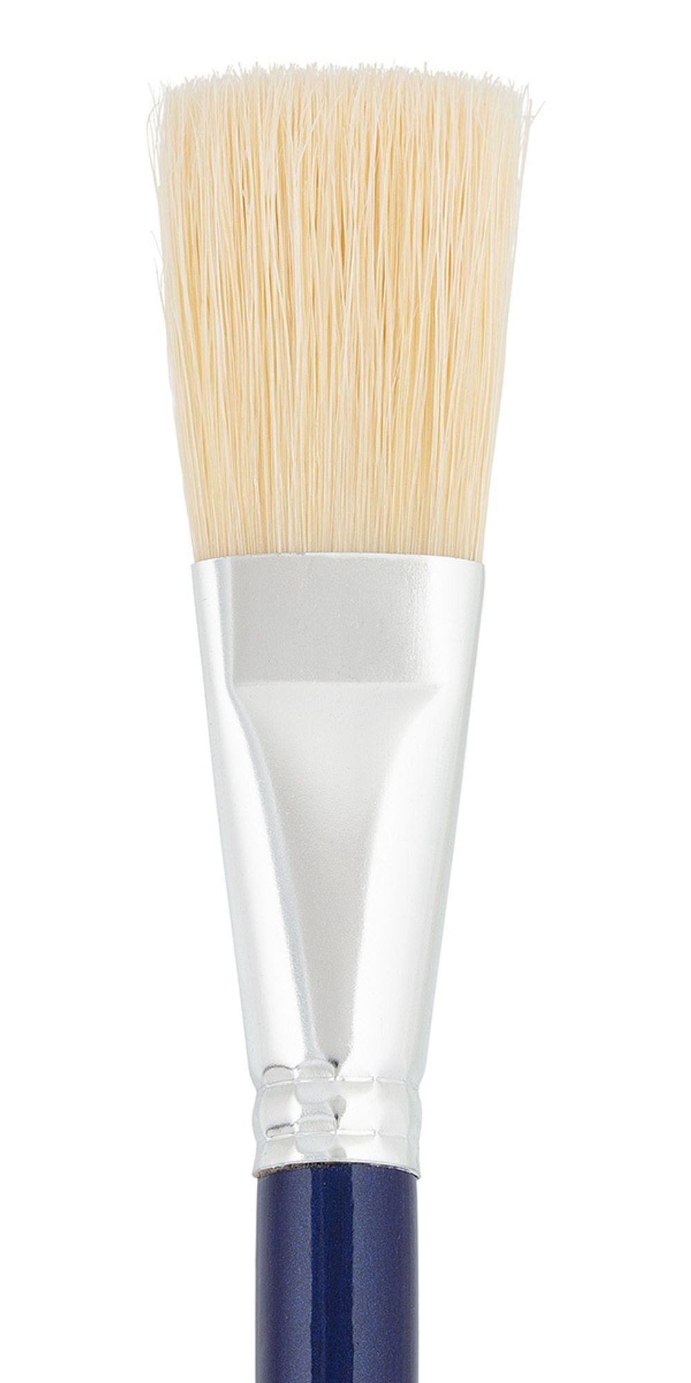 Кисть щетина удлиненная выставка №12 плоская, 5 шт, длинная ручка, 12, Vista-Artista 30119-12