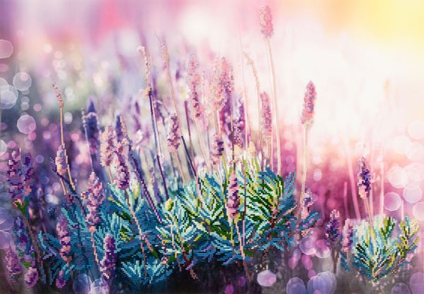 Алмазная (кристальная) мозаика Фрея, Цветущая лаванда, 65х45 см