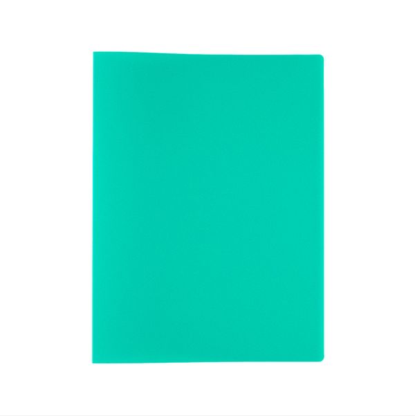 Папка с вкладышами 10 л. A4 500 мкм 15 мм, песок, 6 шт, зеленый EC212016003, Expert Complete EC212016003