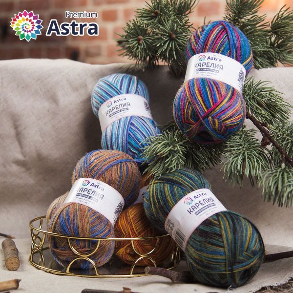 Пряжа Astra Premium (Астра Премиум) Карелия носочная (Karelia sock) / уп.2 мот. по 100 г, 400 м, 1004