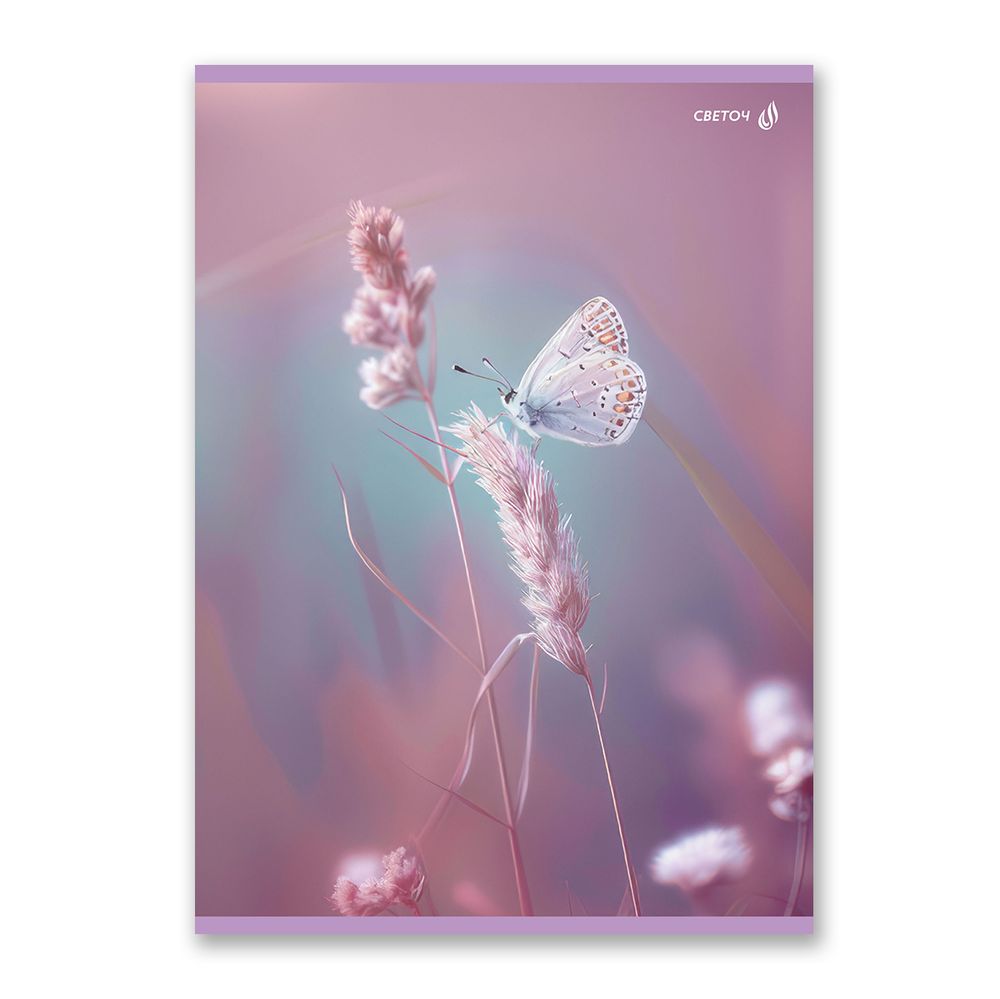 Тетрадь ученическая общая, A4 80 л. на скобе 65 г/м², белизна 100% 6 шт клетка, 01758 Встречая рассвет, Светоч Т154