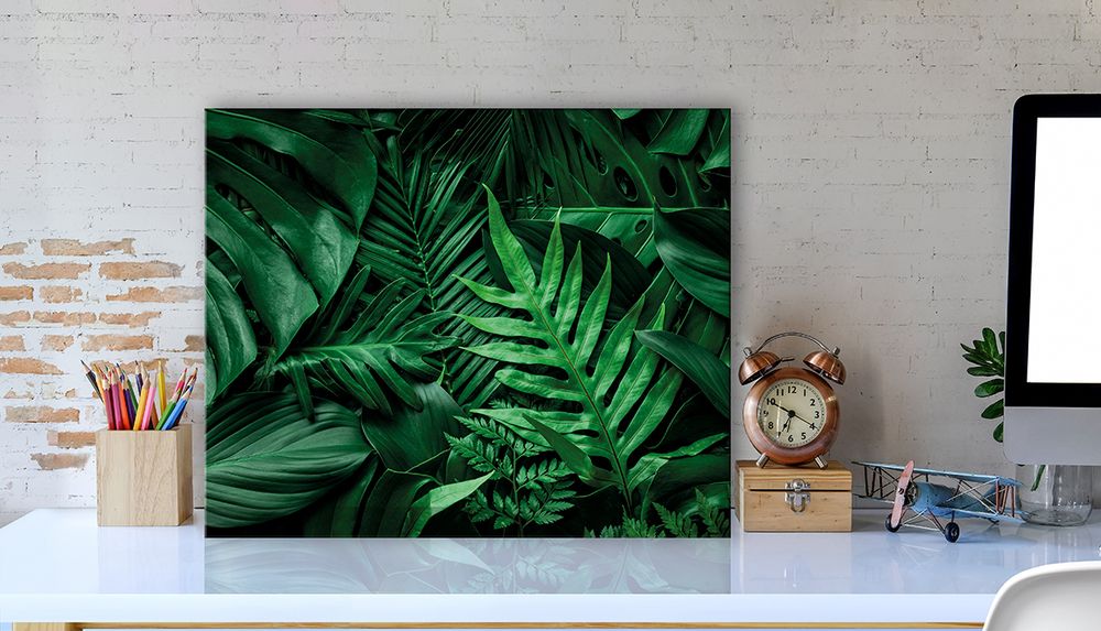 Картина по номерам Фрея PCF-05, Тропическая свежесть растений, холст с подрамником, 50х40 см