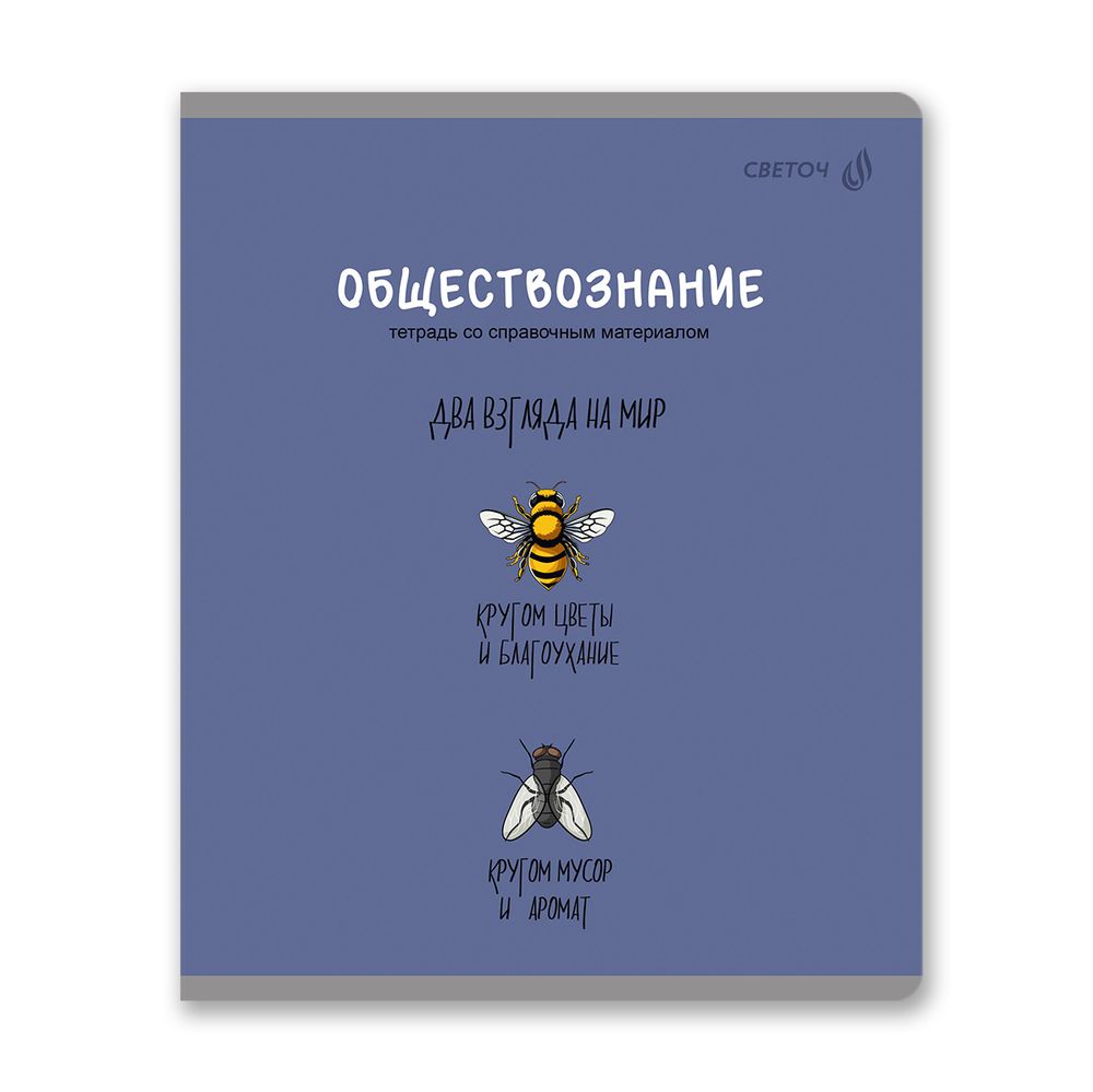 Комплект тетрадей со справочными материалами Большая перемена, выбор.лак, A5 48 л. 12 шт на скобе 65 г/м², белизна 100% 1 шт клетка/линия, 01884 12 предметов, Светоч Т295