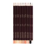 Набор цветных карандашей Скинтонс заточенный 8х12 цв, Vista-Artista Fine VFCPS-12