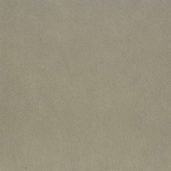 Фетр листовой жесткий 1.0 мм, 20х30 см, 5 шт, CH648 св. серый, Blitz FKH10-20/30