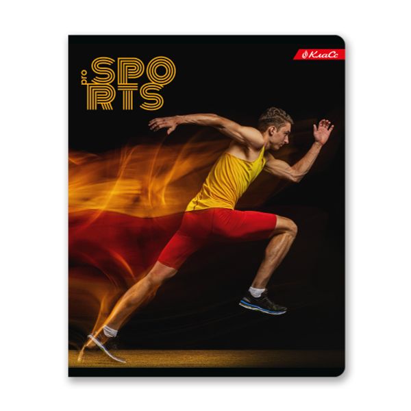 Тетрадь ученическая общая A5+ 48 л. на скобе, белизна 100%, 10 шт, клетка, 000320 Спорт-шик, Светоч 48ТСК5_1_3_1